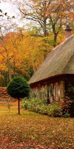 Landscape,Houses