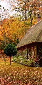 Paysage,Maisons