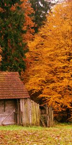 Landscape,Houses,Autumn