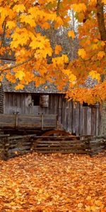 Feuilles,Maisons,Paysage,Automne