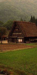 Paisaje,Casas,Los Campos