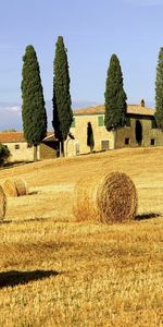 Landscape,Houses,Fields