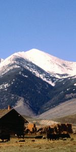 Landscape,Houses,Mountains