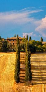 Landscape,Houses,Trees,Clouds,Fields