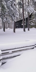 Arbres,Paysage,Maisons,Hiver