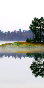 Brouillard,Îlot,Matin,Nature,Arbres,Lac,Île,Paysage