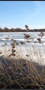 Landscape,Lakes,Nature