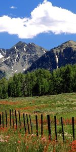 Paisaje,Montañas