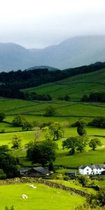 Landscape,Mountains,Fields