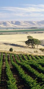 Los Campos,Montañas,Paisaje