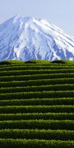 Landscape,Mountains,Fields