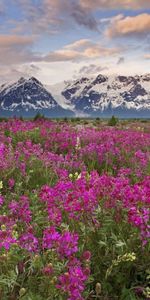 Landscape,Mountains,Fields