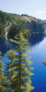 Landscape,Mountains,Fir Trees,Lakes