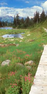 Montagnes,Paysage,Lacs