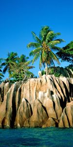 Arbres,Montagnes,Palms,Mer,Paysage