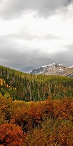 Landscape,Mountains,Trees