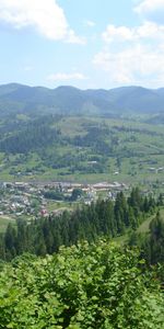 Arbres,Montagnes,Paysage