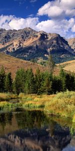 Landscape,Mountains,Trees