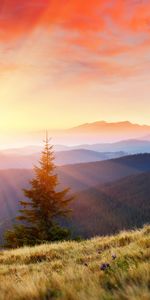 Landscape,Mountains,Trees,Sun