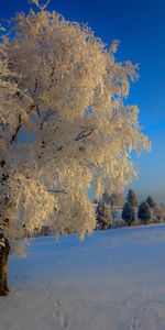 Nature,Paysage