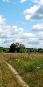 Naturaleza,Paisaje