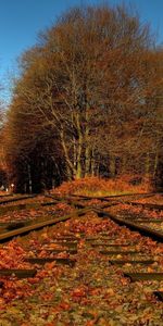 Naturaleza,Otoño,Paisaje