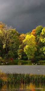 Paisaje,Gaviotas,Estanque,Nubes,Otoño,Naturaleza