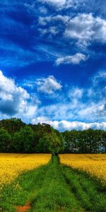 Landscape,Nature,Fields