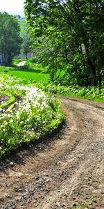 Les Champs,Nature,Paysage