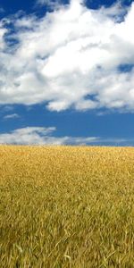 Landscape,Nature,Fields