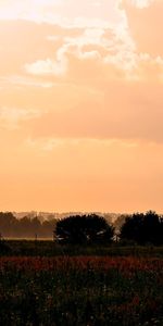 Landscape,Nature,Fields