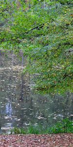 Landscape,Nature,Lakes