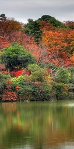 Lagos,Paisaje,Naturaleza