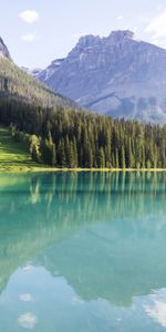 Landscape,Nature,Peyto Lakes,Peito Lakes,Trees,Mountains