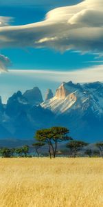 Paisaje,Árboles,Montañas,Sabana,Naturaleza,Campo