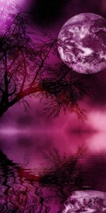 Landscape,Night,Moon