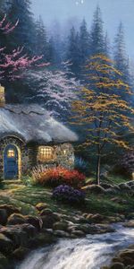 Nuit,Paysage,Plantes,Maisons