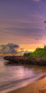 Paisaje,Palms,Playa