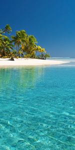 Landscape,Palms,Beach