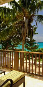 Plage,Palms,Paysage