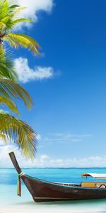 Landscape,Palms,Boats,Beach