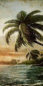 Paysage,Palms,Plage,Dessins