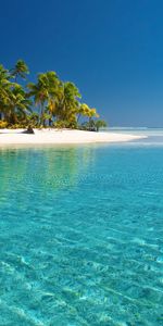 Landscape,Palms,Sea,Beach