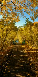 Landscape,Park,Benches,Nature,Autumn,Foliage