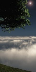 Nuages,Nuit,Arbres,Paysage,Personnes