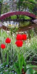 Landscape,Plants