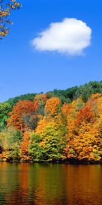 Landscape,Rivers,Autumn