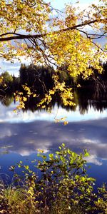 Landscape,Rivers,Autumn