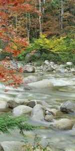 Paisaje,Ríos,Otoño