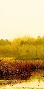 Rivières,Paysage,Automne